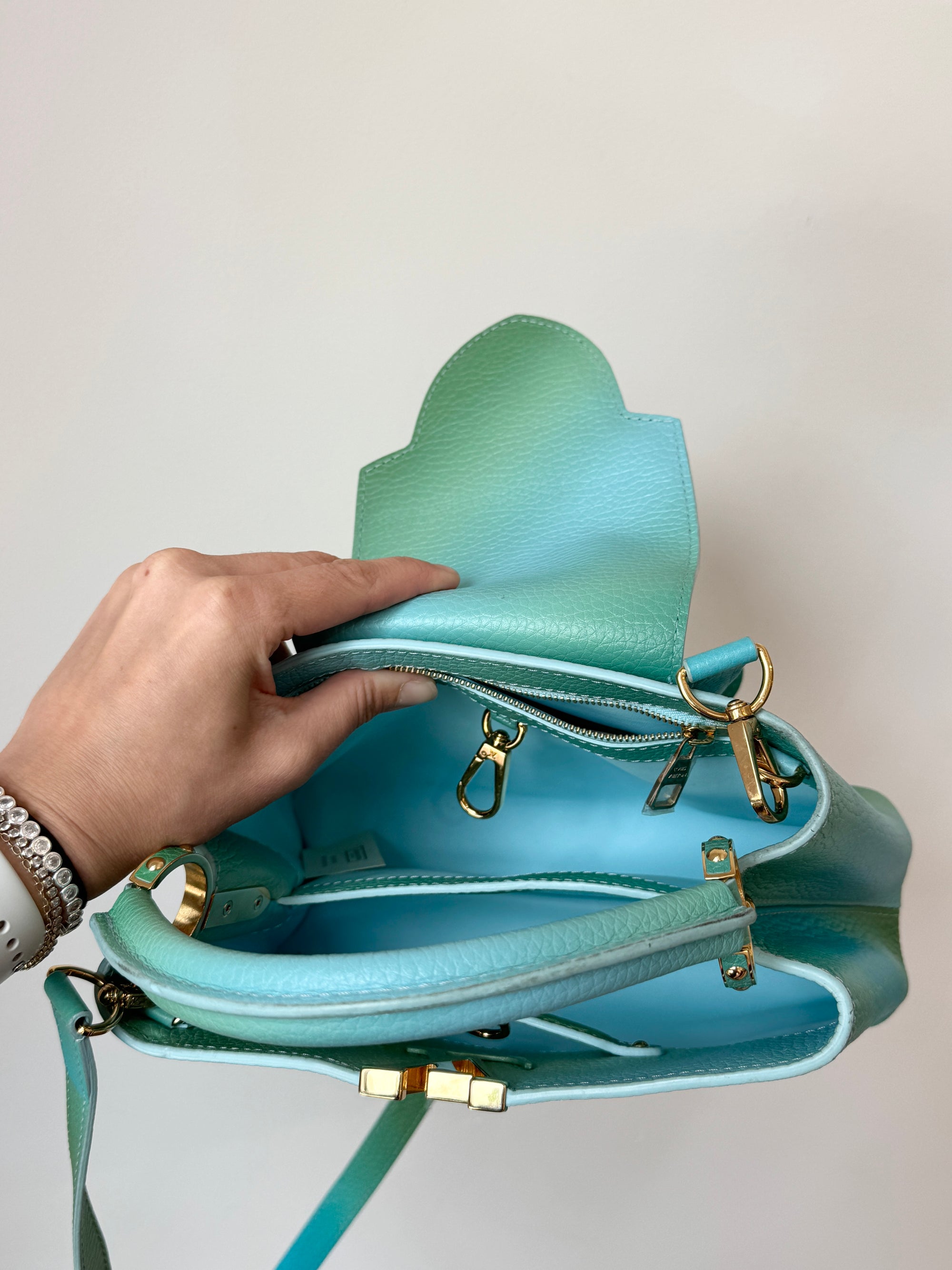 Louis Vuitton Taurillon Cappucines BB Ombré Blue Green