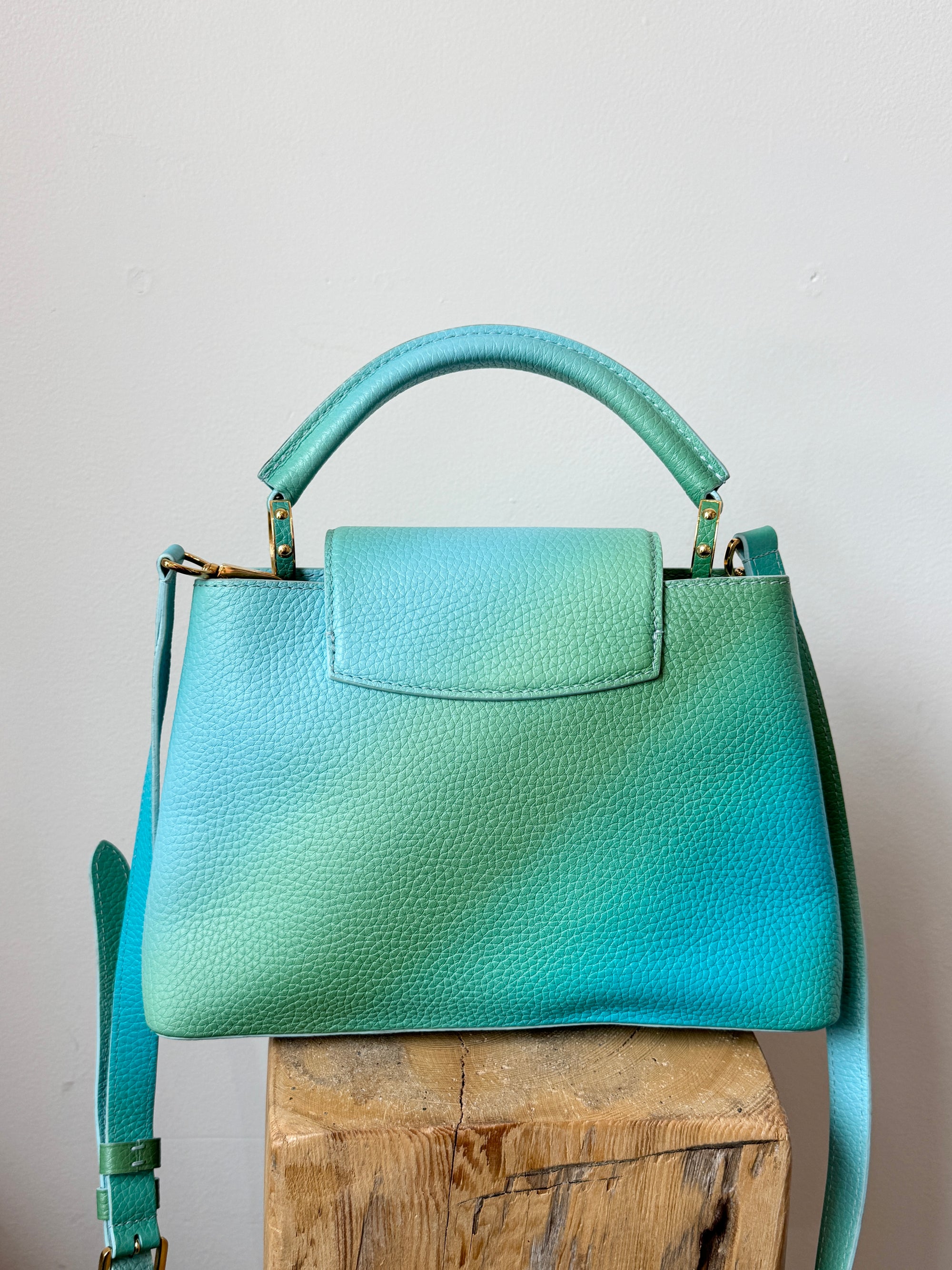 Louis Vuitton Taurillon Cappucines BB Ombré Blue Green