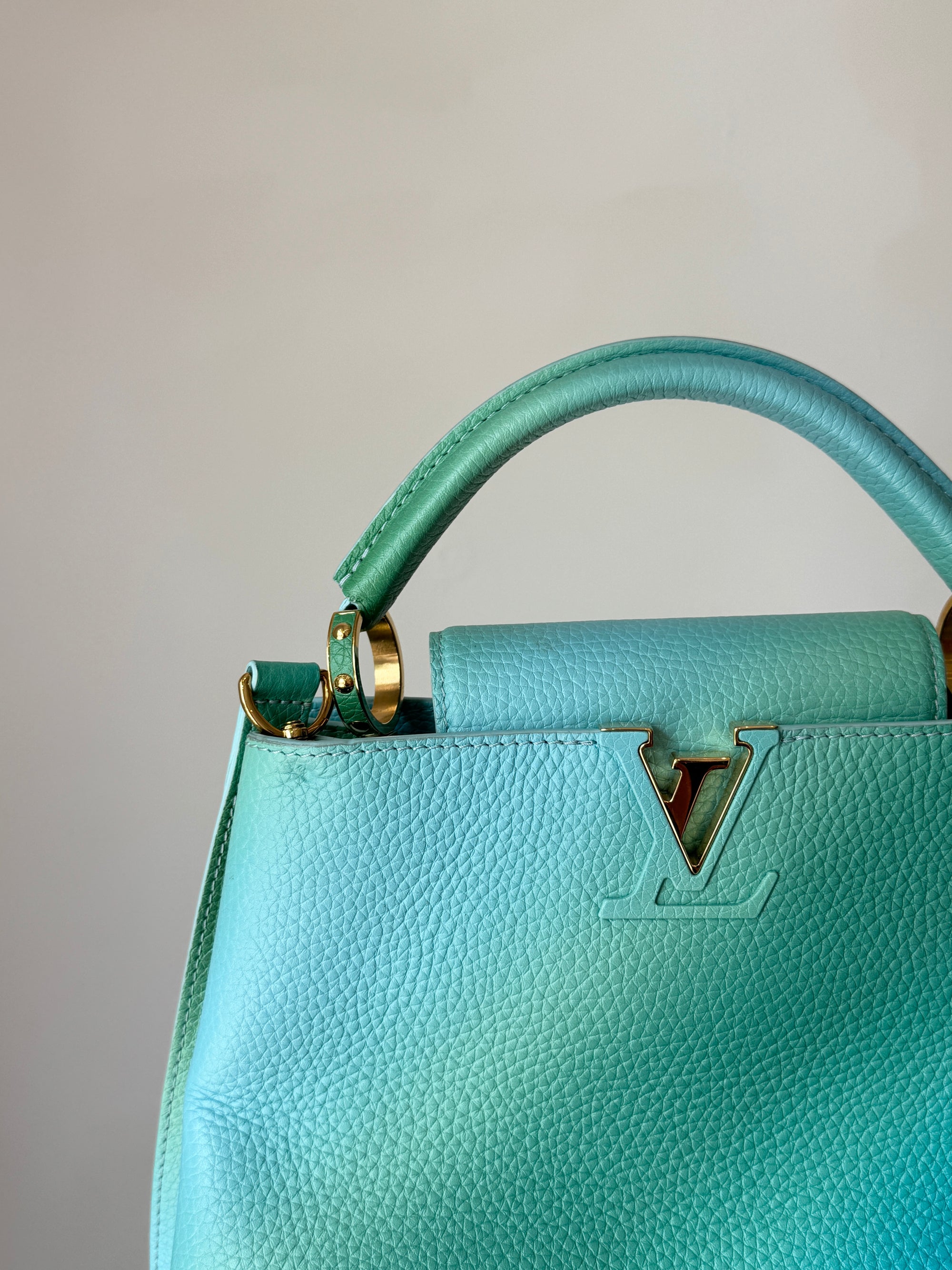 Louis Vuitton Taurillon Cappucines BB Ombré Blue Green