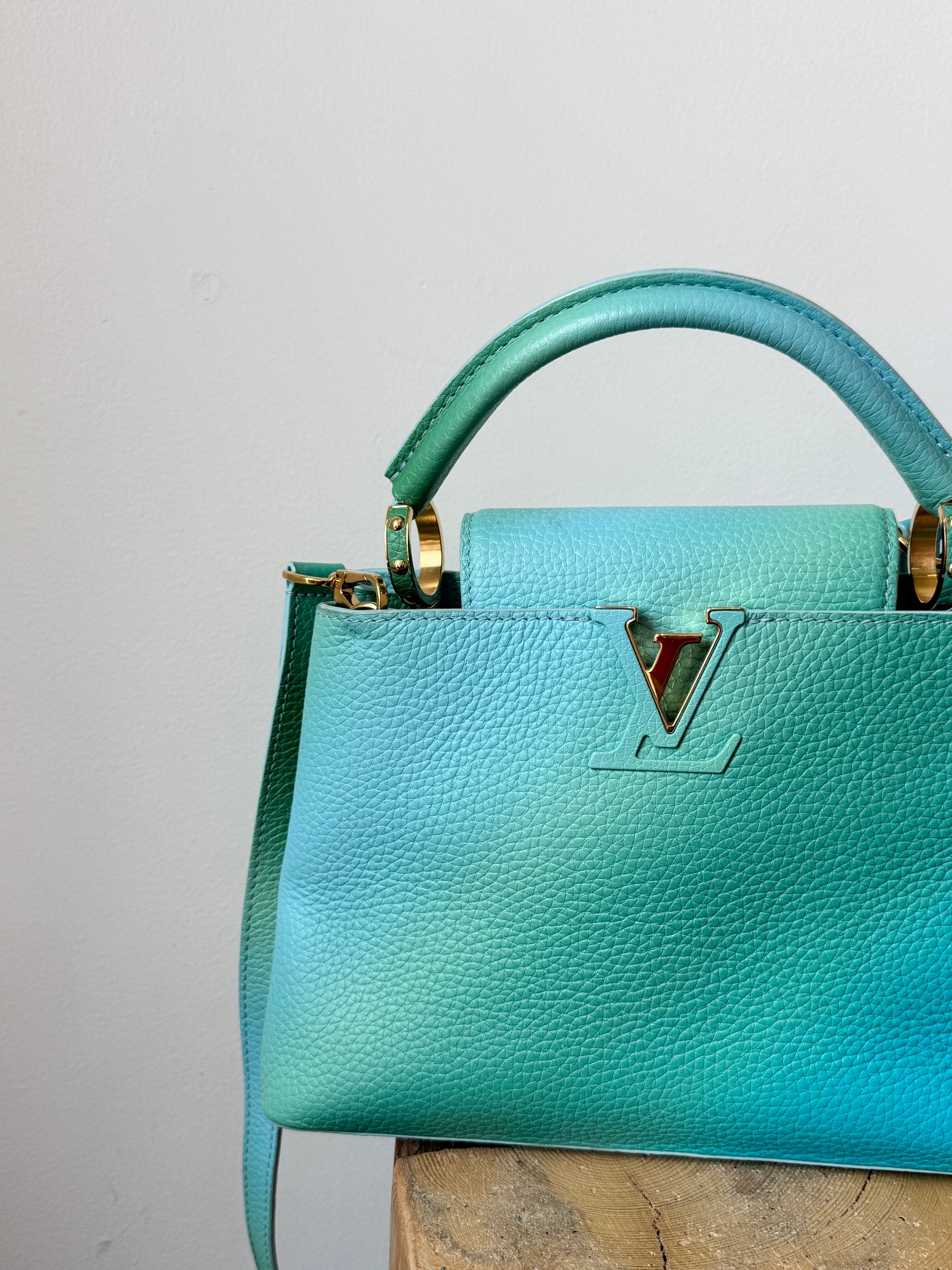 Louis Vuitton Taurillon Cappucines BB Ombré Blue Green