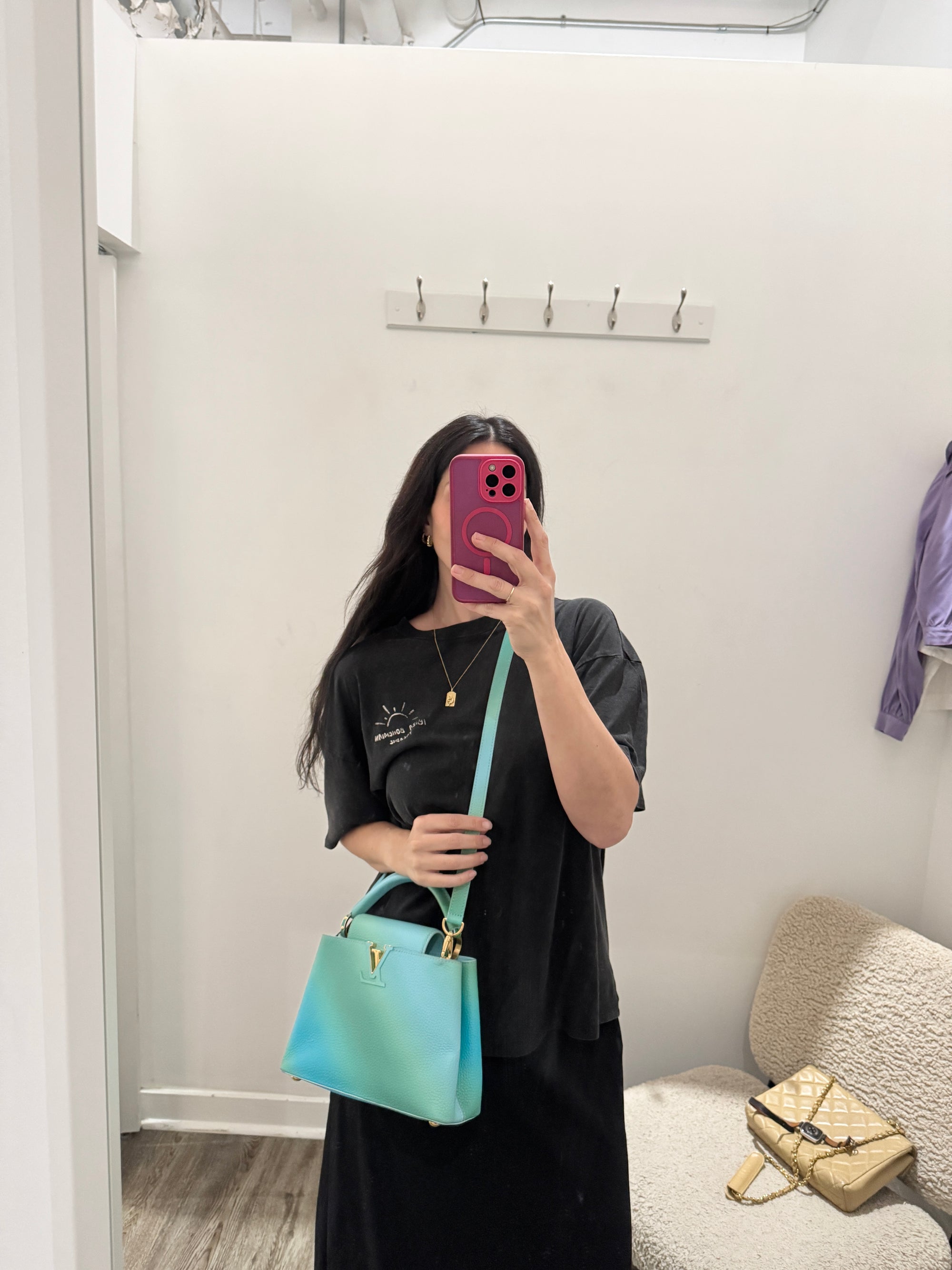 Louis Vuitton Taurillon Cappucines BB Ombré Blue Green