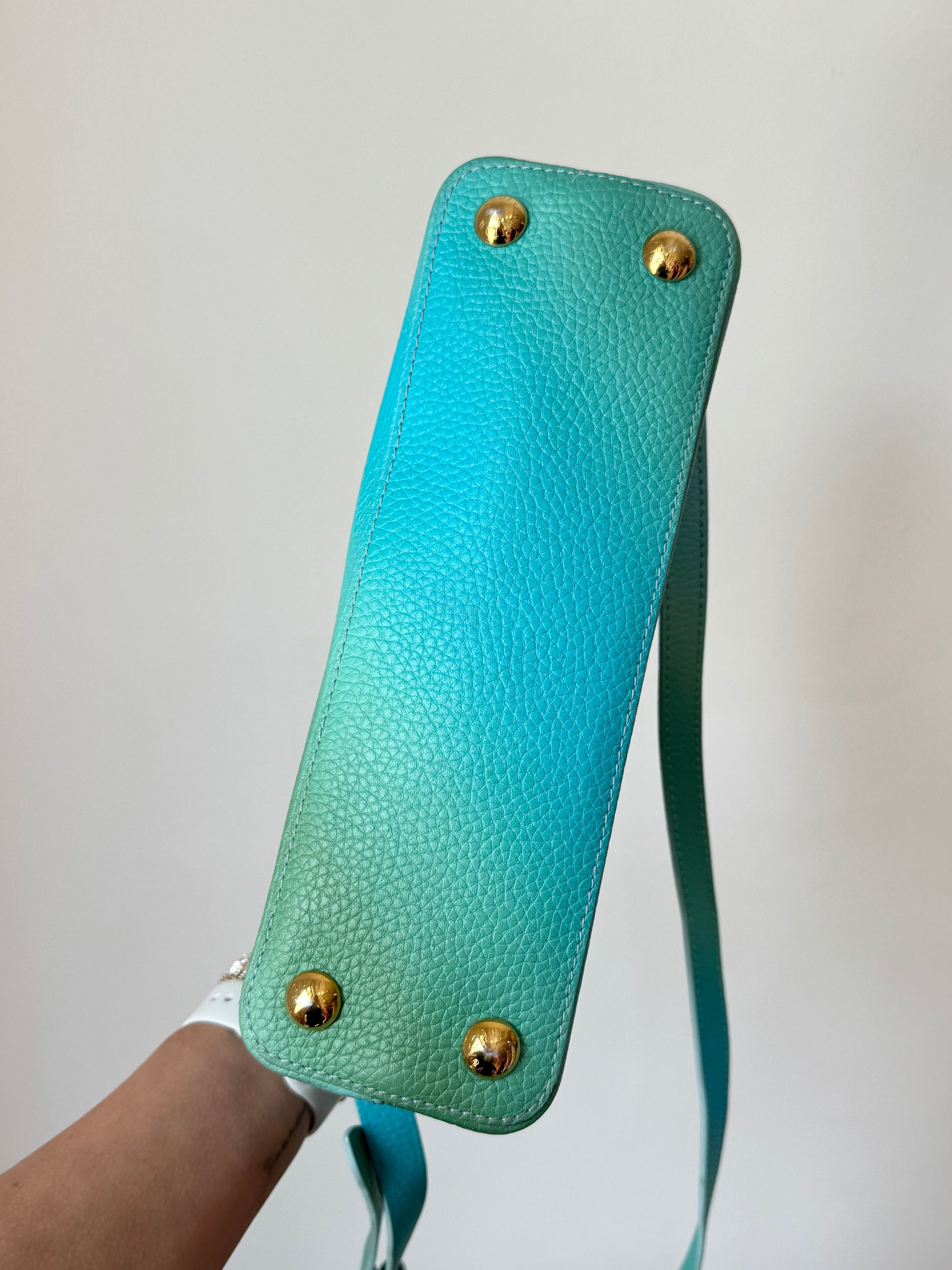 Louis Vuitton Taurillon Cappucines BB Ombré Blue Green