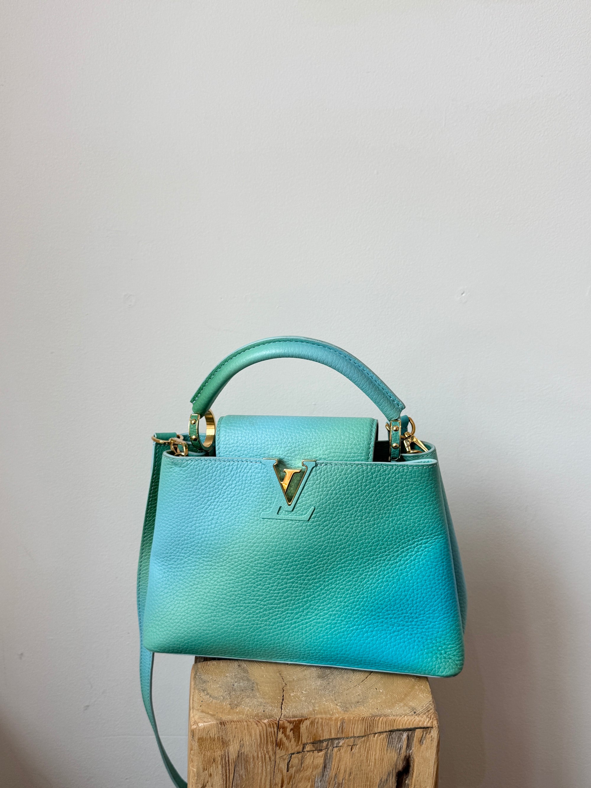 Louis Vuitton Taurillon Cappucines BB Ombré Blue Green
