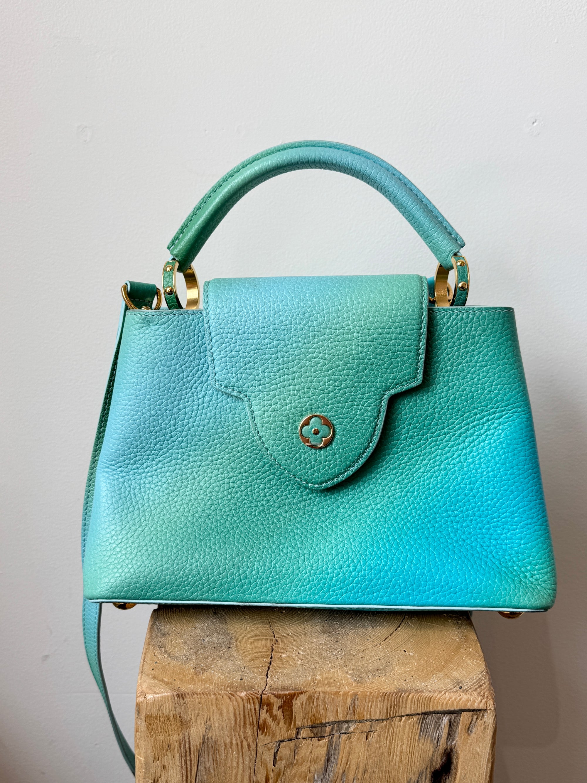 Louis Vuitton Taurillon Cappucines BB Ombré Blue Green