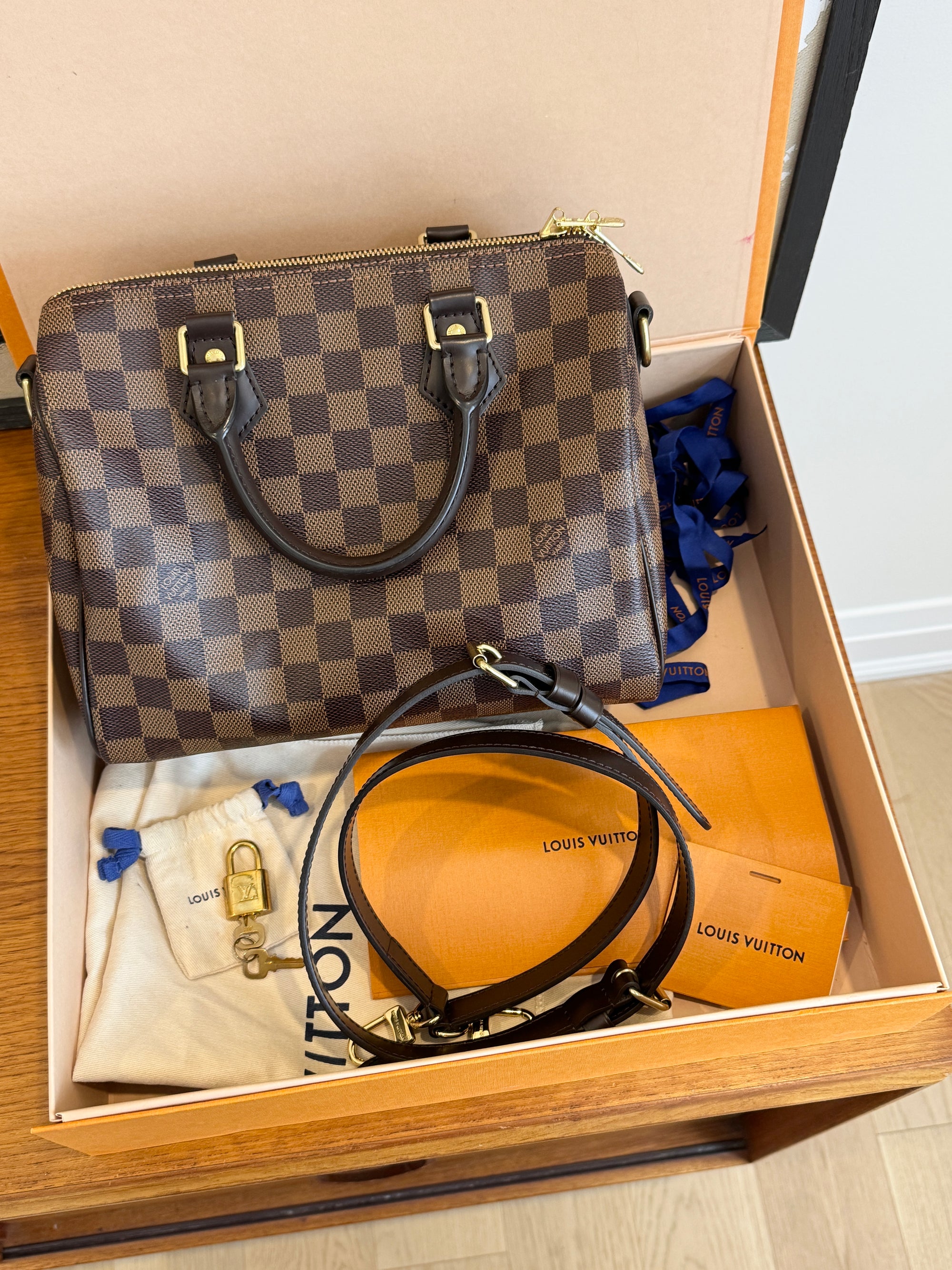 Louis Vuitton Damier Speedy 25 Bandouliere
