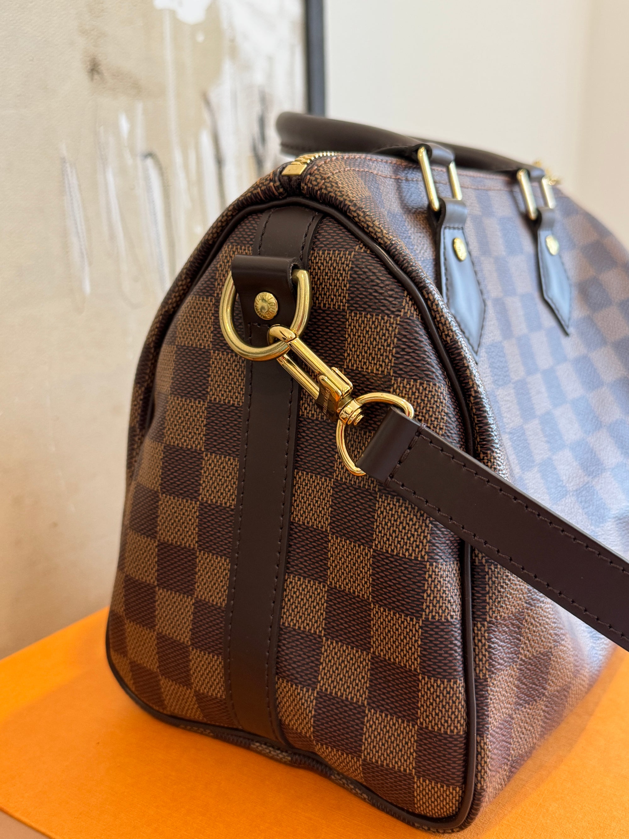 Louis Vuitton Damier Speedy 25 Bandouliere