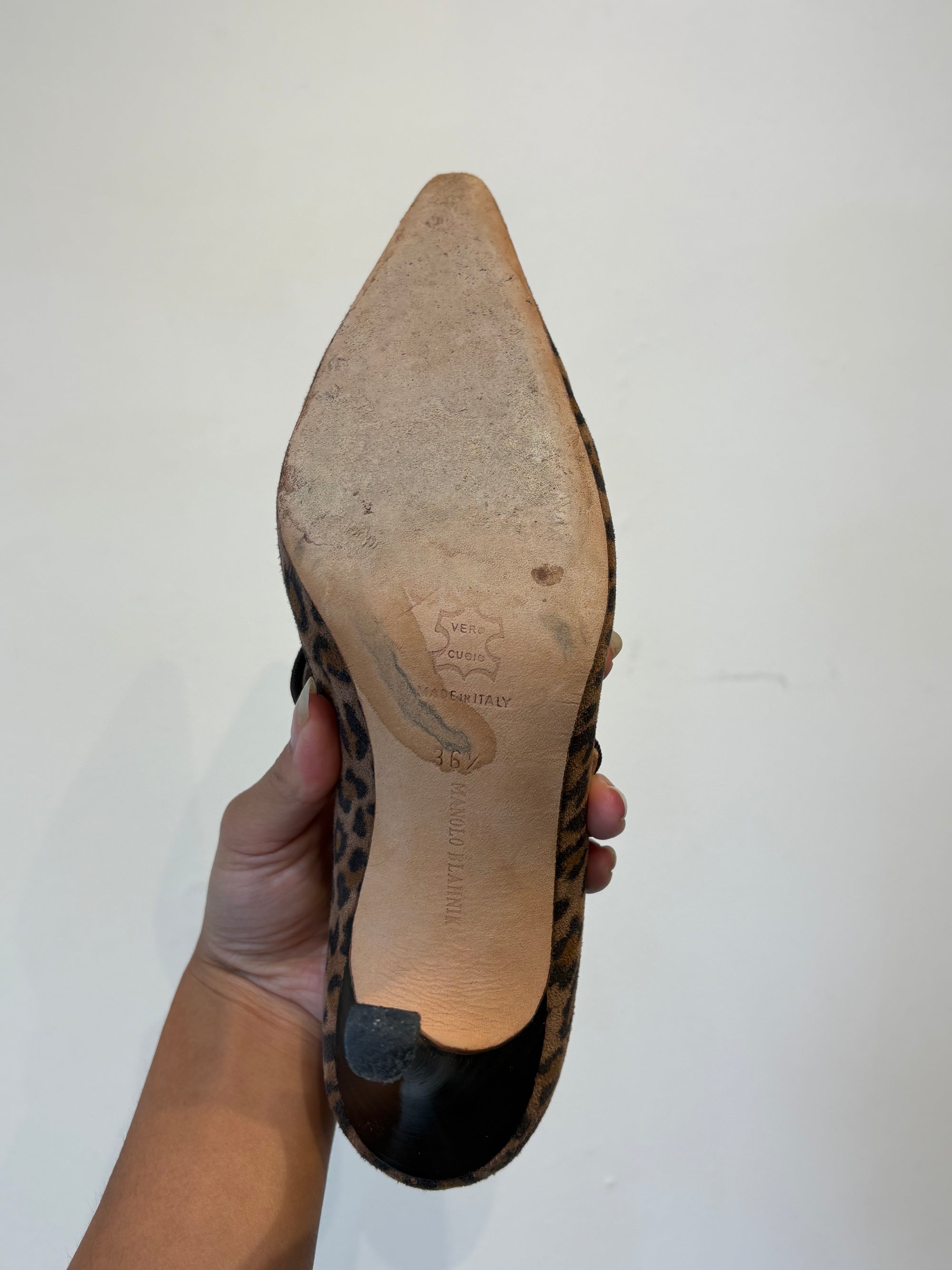 Manolo Blahnik Leopard Campari Pointed Toe Pumps, 36.5