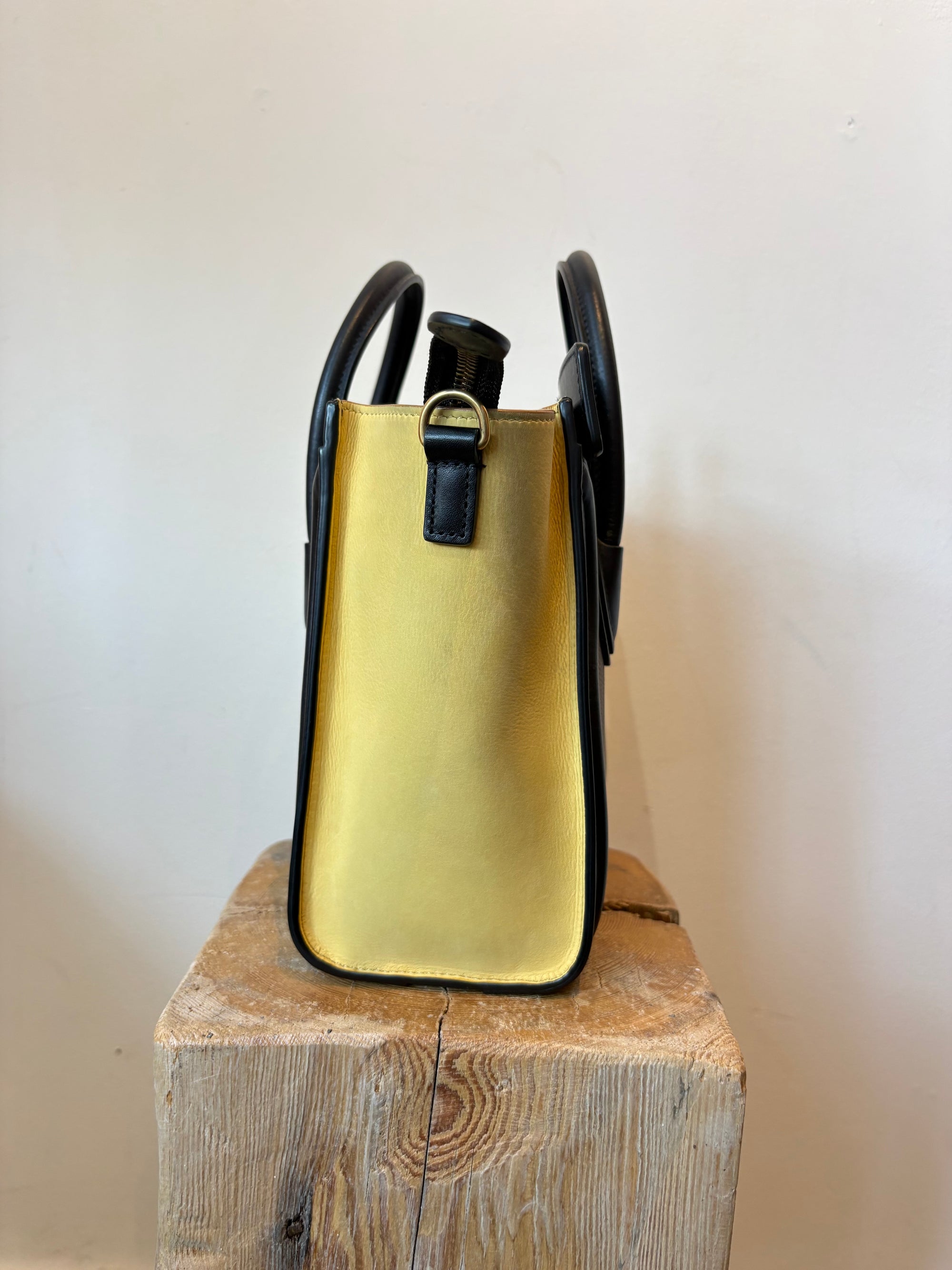 Celine Tricolor Luggage Nano Handbag