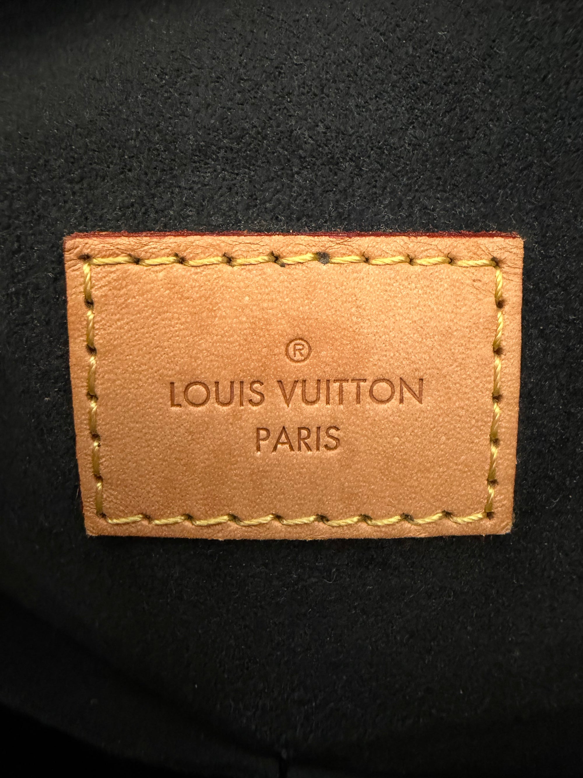 Louis Vuitton Monogram Gaia Handbag, Brown/Black