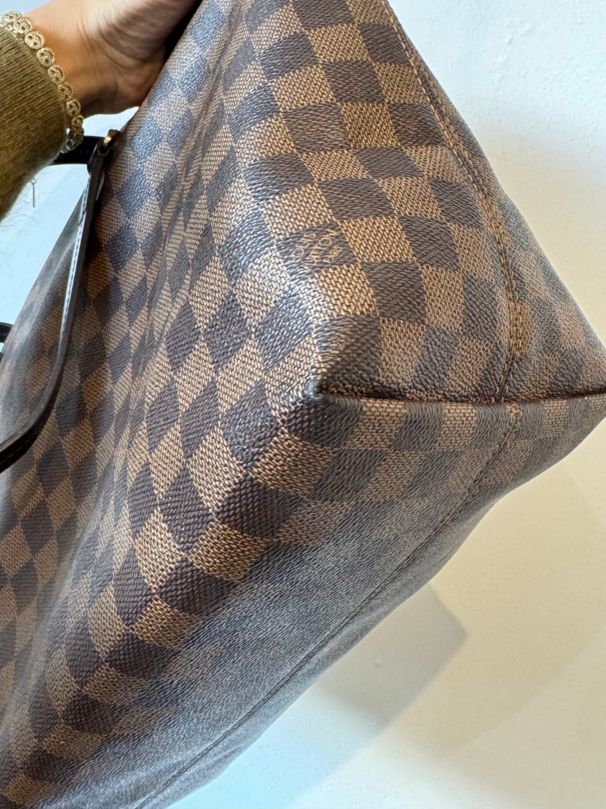 Louis Vuitton Iena MM Damier Ebene