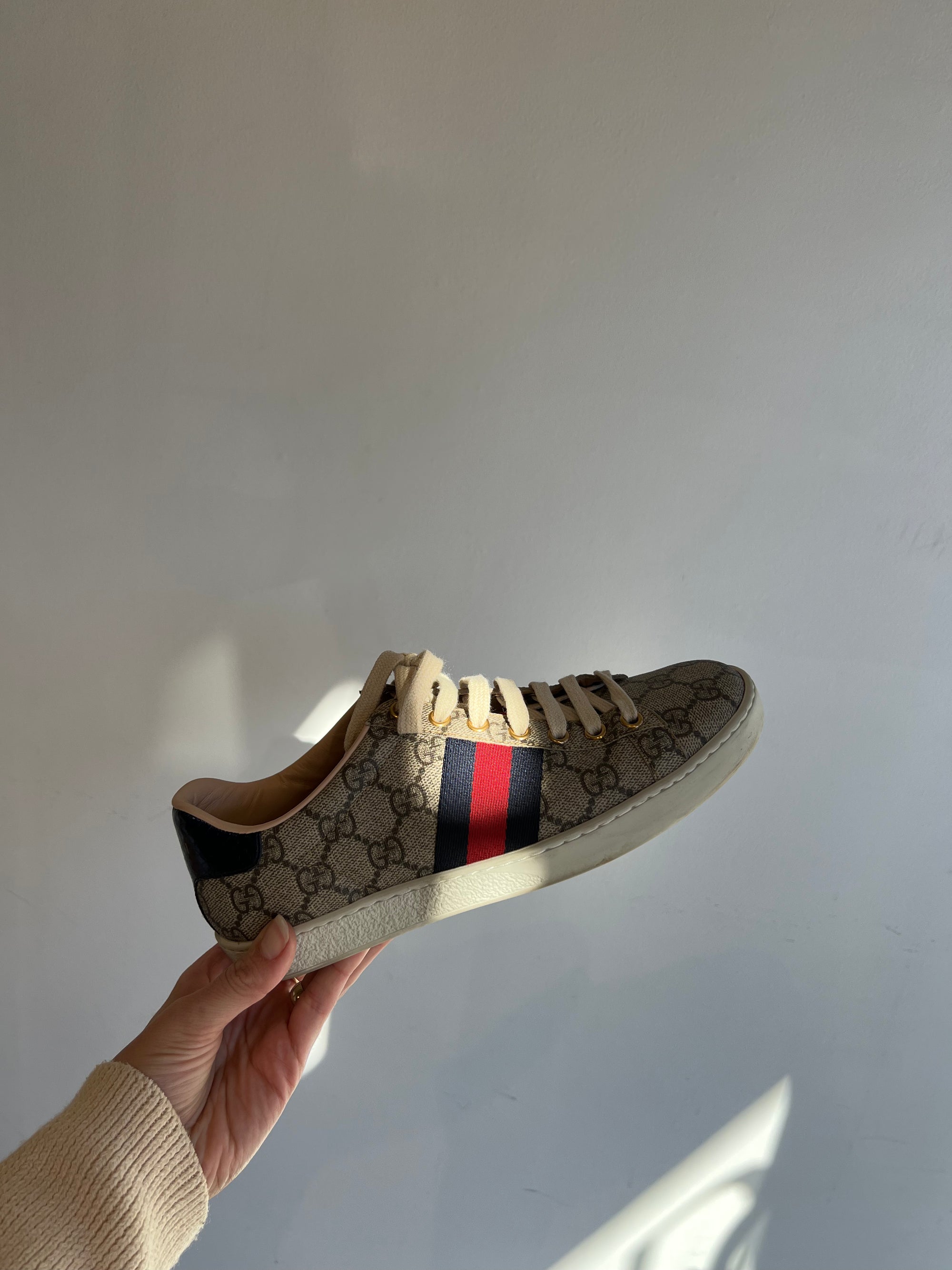 Ace gg supreme sneaker 2025 womens