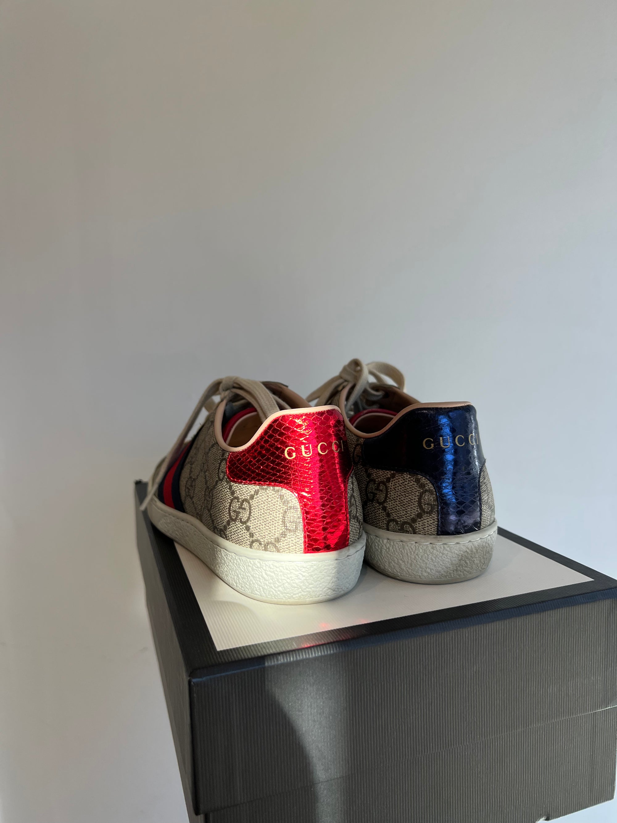 Ace gg supreme sneaker cheap clearance